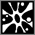 Caustic icon.png