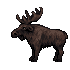 Moose.png