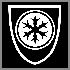 Frost Resistance icon.png