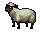 Sheep.png
