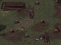 Lumber2.png