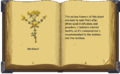 Old Remedy Book 1-2.png