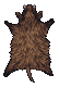 Boar Pelt