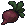 Beet