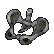 Pelvic Bone