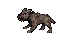 Feral Dog