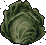 Rotten Cabbage